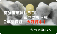 レジン　ジャケット冠
